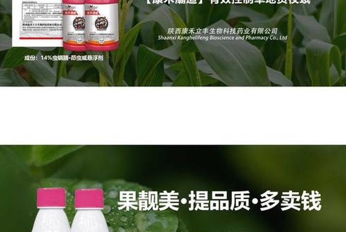 立丰成泽电商 立丰电子科技有限公司 立丰成泽电商 立丰电子科技有限公司