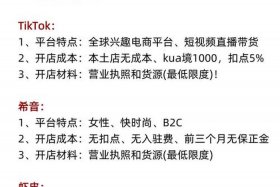 一个人怎么做跨境电商有哪些平台；个人能做跨境电商有哪些？