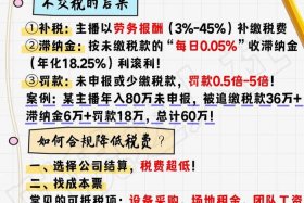 电商带货达人（电商带货达人个税怎么算）