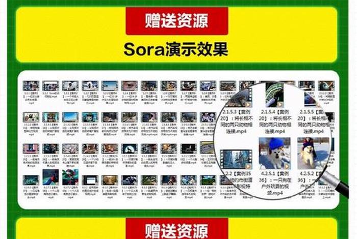 内容电商案例视频 - 电商案列 内容电商案例视频 - 电商案列