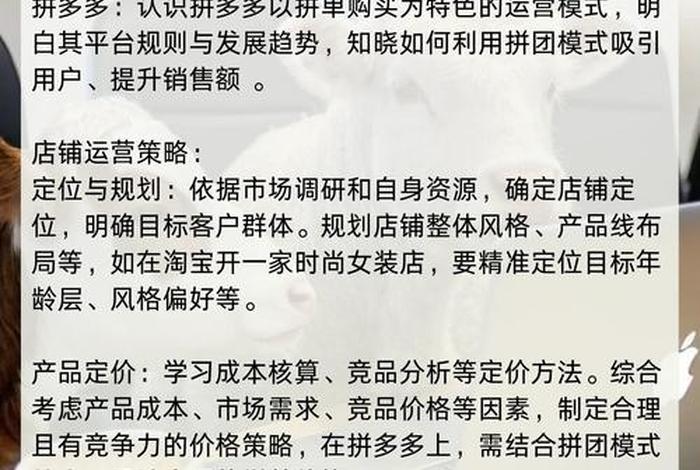 电商运营零基础学习(零基础学电商运营要多长时间) 电商运营零基础学习(零基础学电商运营要多长时间)