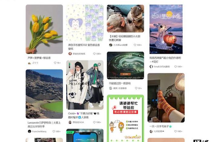 小红书电商官网入口网页版(小红书电商官网入口网页版下载) 小红书电商官网入口网页版(小红书电商官网入口网页版下载)