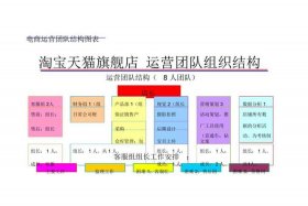 专业电商团队（专业电商团队介绍）