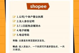 入驻电商平台（入驻电商平台要求）