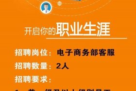 招聘电商运营 招聘电商运营岗位职责
