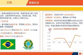 巴西网购平台 巴西网购平台排名