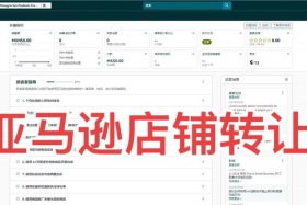 亚马逊跨境电商、亚马逊跨境电商个人开店