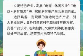 乡村电商是什么意怿 - 乡村电商是什么意思