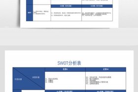 微电商平台swot分析 电商的swot
