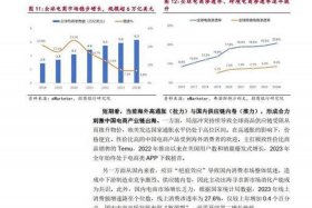 出海电商四小龙竞赛，出海电商四小龙竞赛-翻倍增长,用一切办法