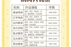 口碑最好的电商培训班（口碑最好的电商培训班排名）