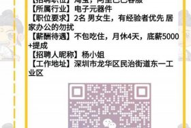 电商seo优化、seo电子商务优化专员招聘