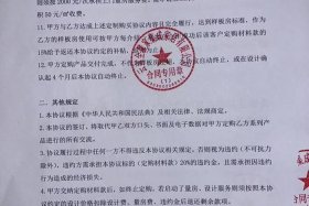 猪肉干冒充牛肉干销售处罚，猪肉干冒充牛肉干销售处罚决定书