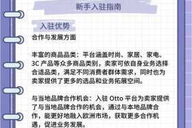 otto跨境电商平台APP；otto跨境电商平台账号多少钱一个