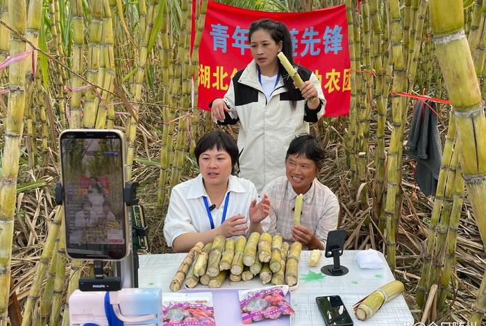 农村电商 创业 - 农村电商 创业机会 农村电商 创业 - 农村电商 创业机会