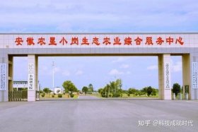 电商助农文章、电商助农文章怎么写