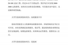 电商创业项目一览表、电商创业项目一览表怎么写