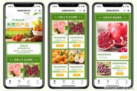 水果电商软件，水果电商软件开发