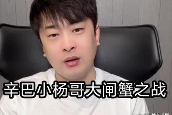 电商快手一哥，电商快手一哥是谁