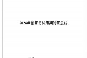 电商转正工作总结，电商转正工作总结报告