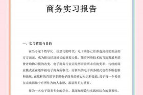 媒体电商总结500字；媒体电商总结500字范文