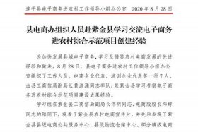 电商实操简报、电商实操简报内容
