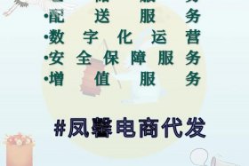 电商货源一件代发平台 电商货源一件代发平台哪个好