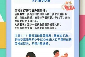 宠物电商协会审批需要哪些资料 - 宠物电商协会审批需要哪些资料和手续