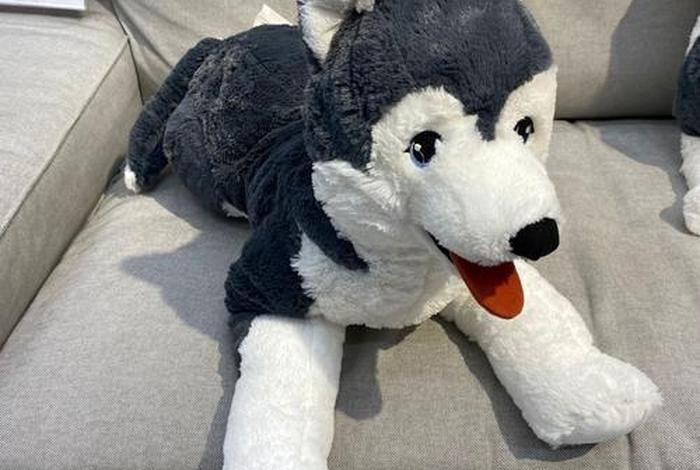 哈士奇电商插件下载ipad、哈士奇电商插件下载官网 哈士奇电商插件下载ipad、哈士奇电商插件下载官网