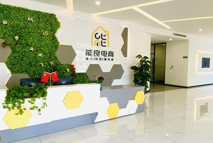 上海能良电子科技有限公司；上海能良电子科技有限公司地址