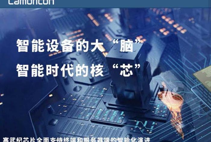 阿里巴巴清仓 - 阿里巴巴清仓寒武纪 阿里巴巴清仓 - 阿里巴巴清仓寒武纪