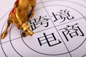 香港电商平台 电脑（香港电商平台 电脑怎么下载）