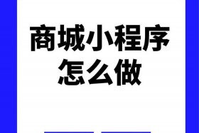小程序电商项目是什么，小程序电商项目是什么类型