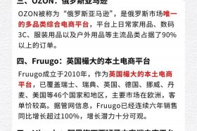 做国外电商哪个平台比较好、做国外电商哪个平台比较好一点