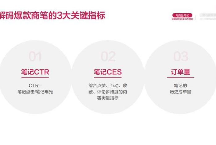 小红书电商0基础 小红书 电商 小红书电商0基础 小红书 电商