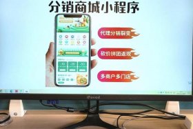 电商系统开发公司是什么、电商开发是做什么的