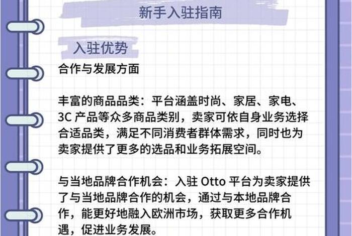 otto跨境电商平台入驻要求 - 入驻跨境电商平台需要具备哪些条件