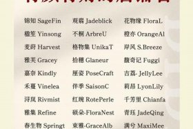 电商店铺名字大全10000个免费、电商店铺名字大全潮流