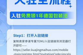 temu跨境电商平台商家入口；temu跨境电商平台商家入口网址