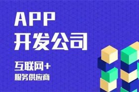 成都电商平台定制开发公司哪家好、成都电商平台定制开发公司哪家好一点