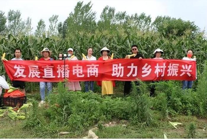 赋能电商兴农服务区域经济(服务农村电商) 赋能电商兴农服务区域经济(服务农村电商)