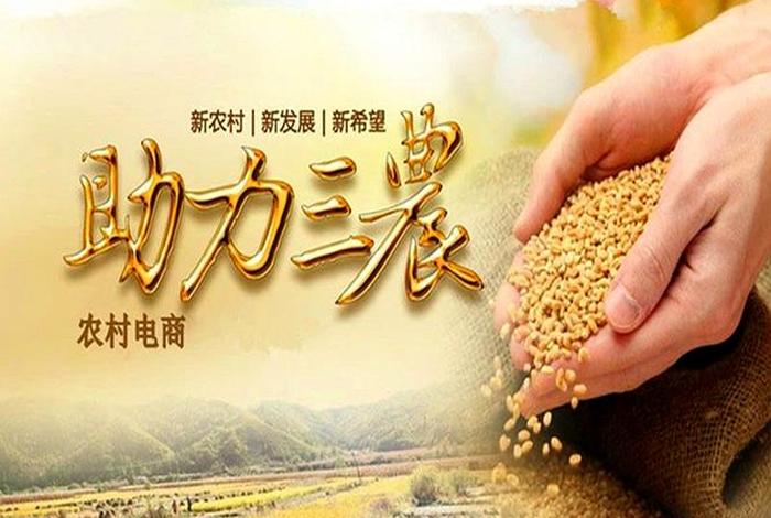 农村电商做什么项目好赚钱,农村电商做什么项目好赚钱呢 农村电商做什么项目好赚钱,农村电商做什么项目好赚钱呢