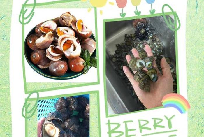 海螺电商平台使用方法；海螺电商平台使用方法有哪些