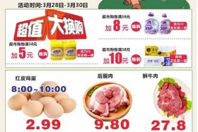 生鲜电商项目简介（生鲜电商项目简介怎么写）