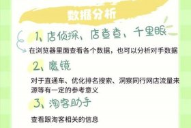 电商魔镜插件怎么安装（电商魔镜插件怎么安装不了）