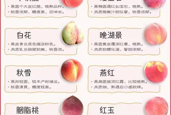 桃子电商平台电话 - 桃子电商平台电话是多少 桃子电商平台电话 - 桃子电商平台电话是多少