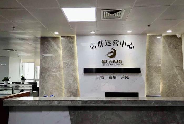 电商公司有哪些公司 - 电商公司有哪些公司好 电商公司有哪些公司 - 电商公司有哪些公司好