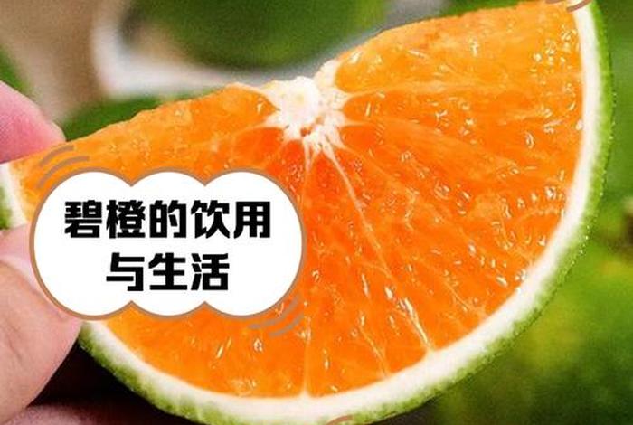 碧橙电商运营平台 碧橙电商运营平台是什么