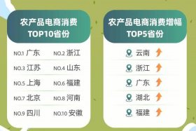 国内电商平台销量排名；国内电商平台销量排名榜