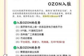 俄罗斯ozon平台怎么入驻；俄罗斯ozon平台怎么样